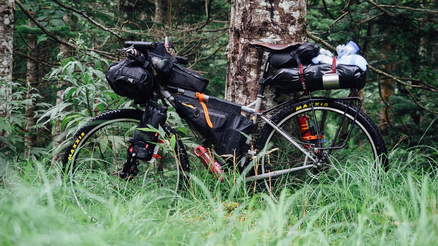 Brdski bicikl s torbama za bikepacking na šumskom putu