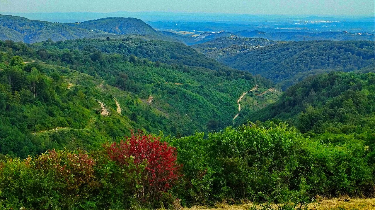 Šumovite doline i brda, pogled s puta iznad krajolika